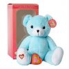 Blue recordable stuffed bear kit - Blue Bear 1 100x100