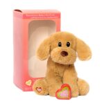 Puppy recordable stuffed animal kit