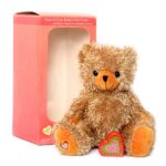 Tan bear heartbeat stuffed animal kit
